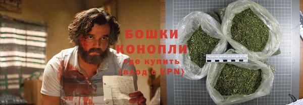сатива Алексин