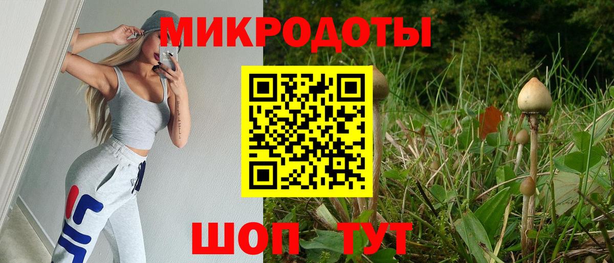 Дедовск  Псилоцибиновые грибы мицелий  Псилоцибиновые грибы прущие грибы  Вход с VPN 