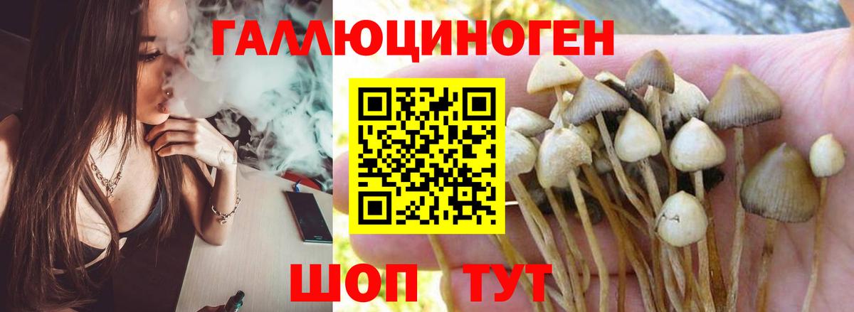 Псилоцибиновые грибы мухоморы Дедовск